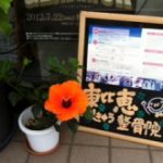 夏がやってきました！