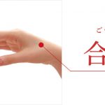 免疫機能と鍼灸治療