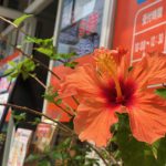 首コリ改善ストレッチ